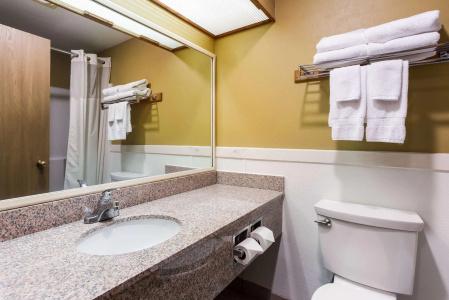 Quality Inn Airport - 8