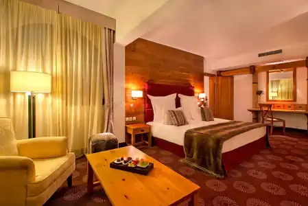 Kempinski Grand Arena Bansko - 273