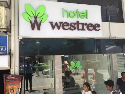 Westree - 14