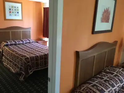 Anaheim National Inn - 88