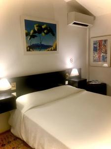 Hôtel des Mimosas - 16