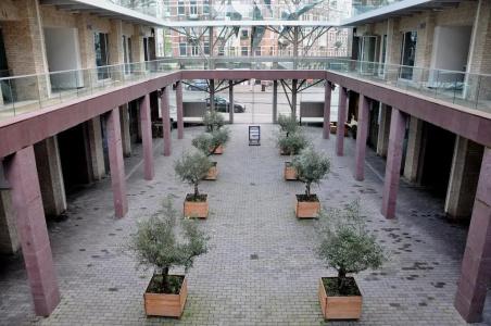 Mosaic City Centre - 27
