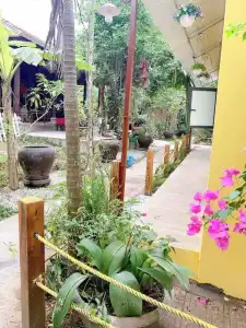Hue Lotus Homestay - 68