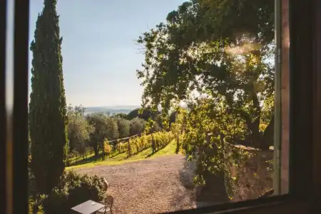 Fattoria di Corsignano - 93