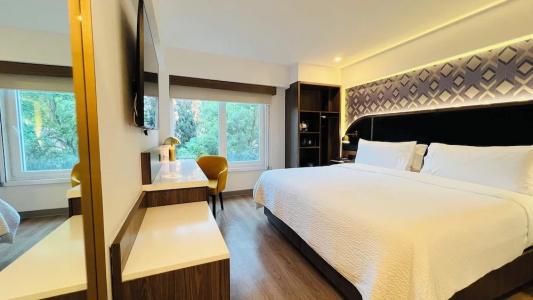 Holiday Inn Express Ciudad De Mexico Condesa by IHG - 98