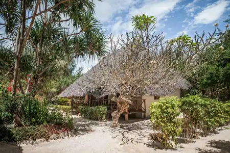 Hakuna Majiwe Beach Lodge - 43