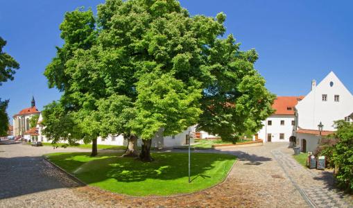 Monastery - 18