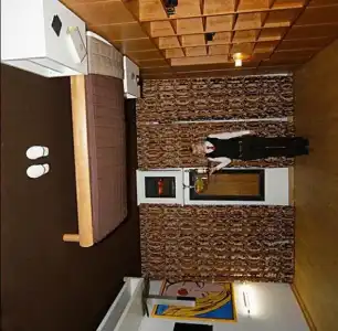 HIP - 17