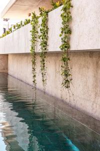 M Boutique - Designed for Adults - 12