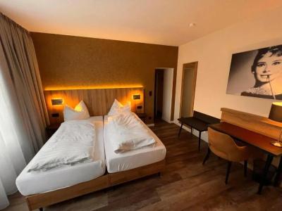 Hotel-Restaurant Amadeus - 48