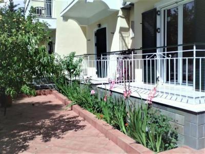 Elenas Garden - 14