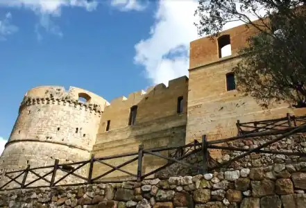 Degli Ulivi - 10