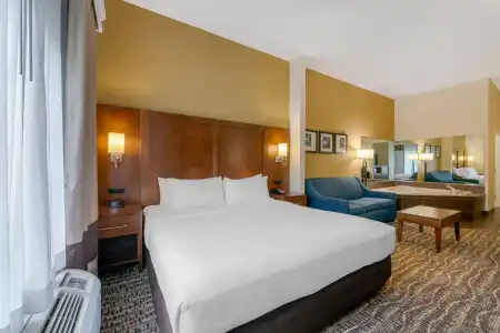 Comfort Suites Lady Lake - The Villages - 62