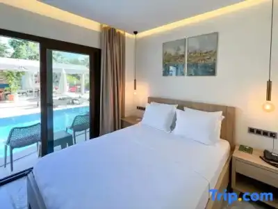 Dna Dalyan Adult Only - 25