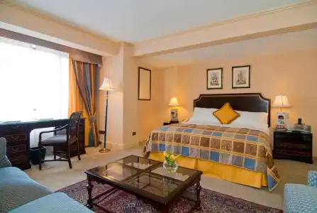 Park Plaza Santiago - 52