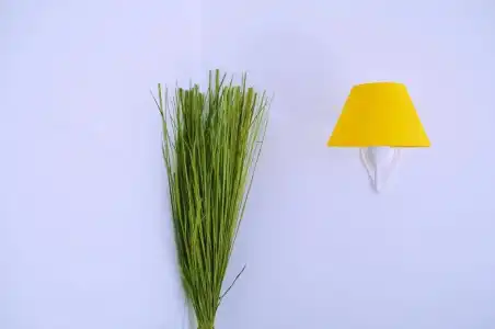 La Maison du Lierre - 70