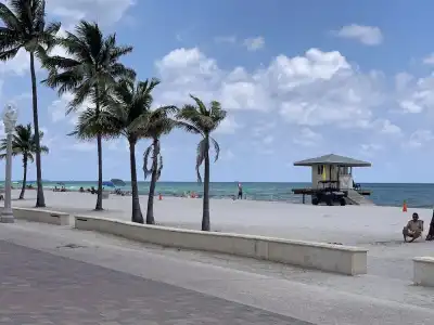 The Palms - 37