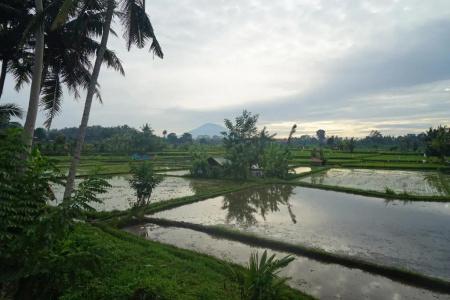 Santun Luxury Private Villa - 107