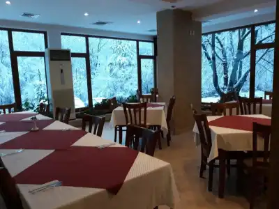 Velena - 11