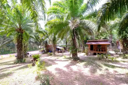 Mada Lanta Mai Keaw - 10