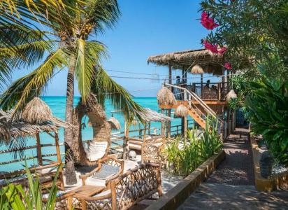Coral Rocks & Restaurant - 25