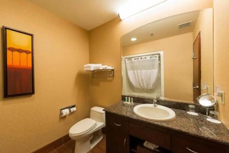 Quality Inn & Suites Levis - 49