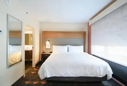 Holiday Inn Fredericksburg Conference Ctr, an IHG (Ex. Wingate by Wyndham Fredericksburg) - 13