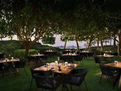 Banyan Tree Dubai - 23