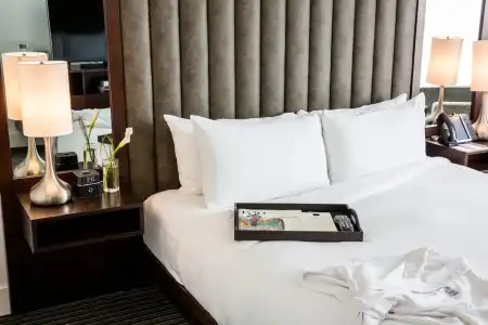 Graduate by Hilton Dallas - 113