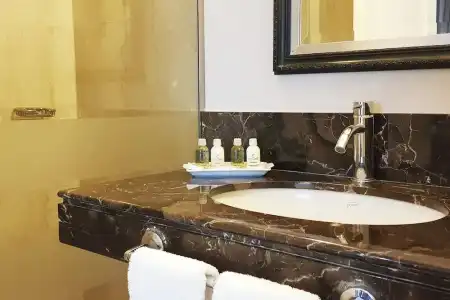 Marriott Buenos Aires Downtown - 72