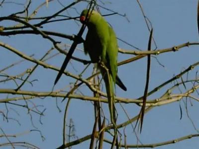 Villa Benz Garni - 25