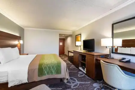 Comfort Inn Anaheim Resort - 56