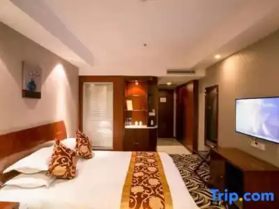 Shangtex - 100