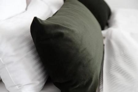 Amplidi Hannover - 62