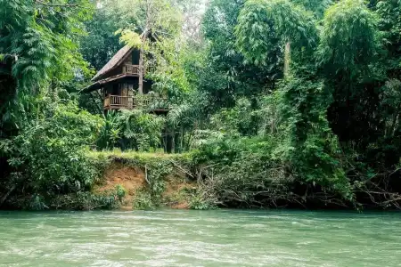 Our Jungle Camp - Eco Resort - 47