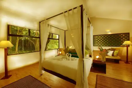 Ambong Rainforest Retreat - 4