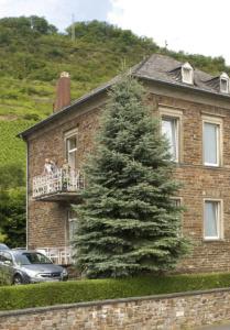 Schloß-Petry - 32