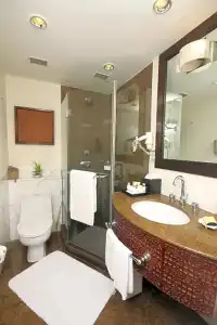 Taj Bengal - 88