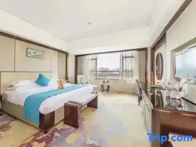 Haikou Conifer Crown Garden - 23