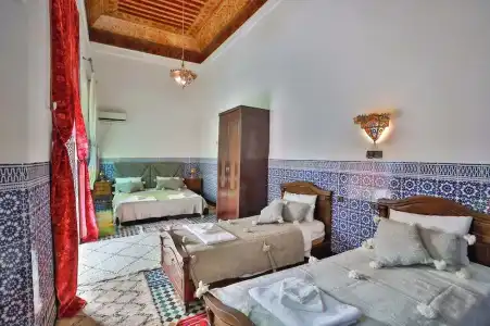 Riad Vega - 4