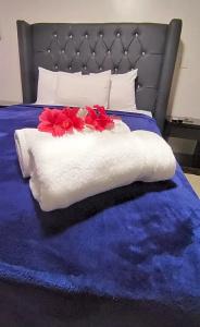 Acuarium Suite Resort - 24