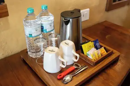 Bar Peepal Resort - 109