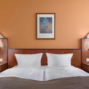 Trip Inn Minerva Frankfurt - 22