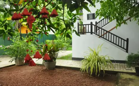 Green Villa - 18