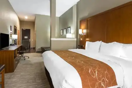 Comfort Suites University - 61