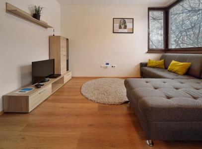 Business & Family Ambiente Apartments - 3