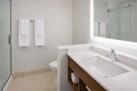 Holiday Inn Express & Suites Des Moines Downtown by IHG - 60