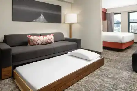 SpringHill Suites Dallas Downtown / West End - 44