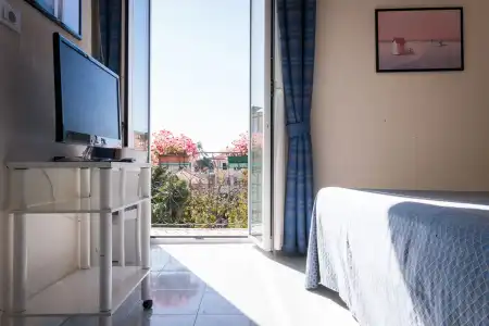 Stella - 6