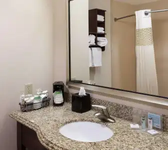 Hampton Inn & Suites Dallas-Arlington-South - 41